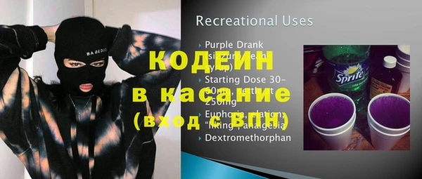 шишки Снежинск