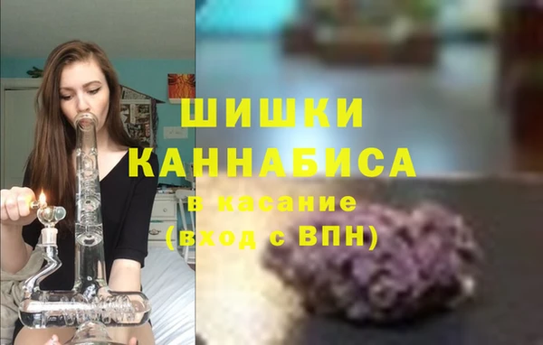 прущие грибы Верея