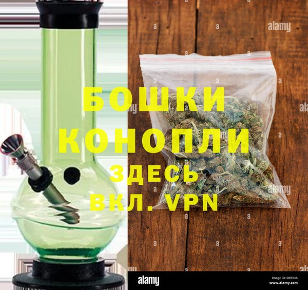 прущие грибы Верея