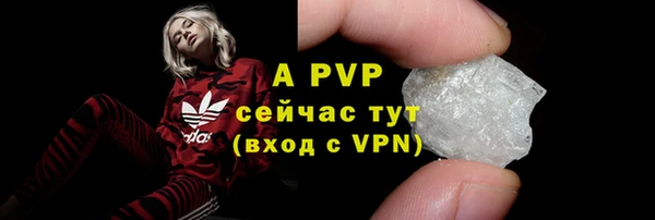прущие грибы Верея