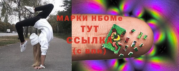 прущие грибы Верея