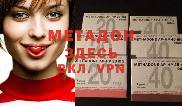 прущие грибы Верея