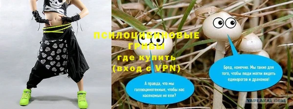 прущие грибы Верея