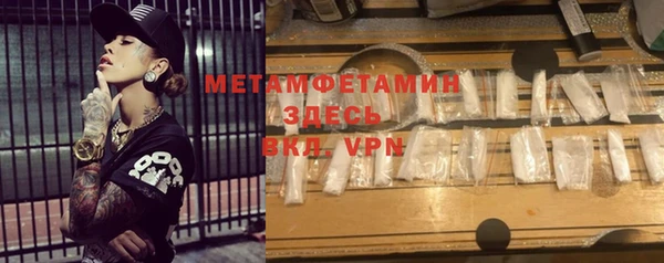 прущие грибы Верея