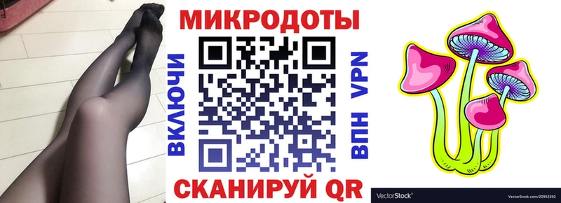 Галлюциногенные грибы Psilocybine cubensis  наркотики  Новопавловск 